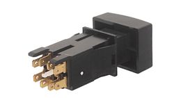 Interruttore di emergenza da 12 volt Nissan Atleon