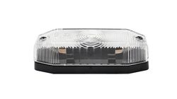 Lotsenstellung weißer Rinder