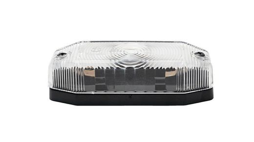 Lotsenstellung weißer Rinder