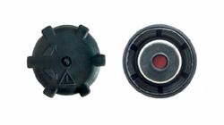 Tapón botella de expansión motor 106