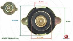 Mercedes truck expansion tank cap
