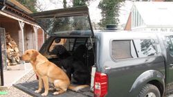 Radial-Deckenventilator Flettner 2000