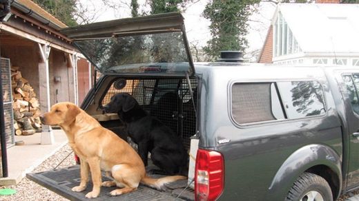 Radial-Deckenventilator Flettner 2000